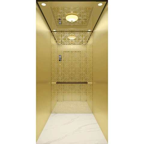 Luxury Villa Home Elevator